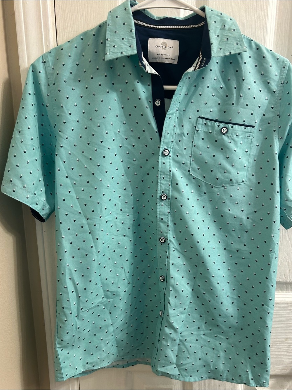 Mint Short-Sleeve Button-Up Shirt
